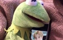 울 오보기 생축