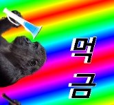 먹금짤 멘트다르게