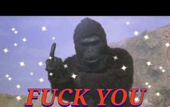 요기 먹금짤 모아두자