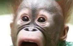 악 23일 빨리 왔으면 좋겠는데 안왔으면 좋겠다