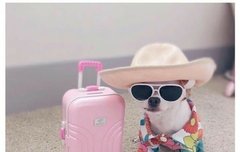 아무곳에나 엔시티 붙이기