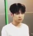 내가 진짜좋아하는 하찮은 짤 푼당❤️❤️