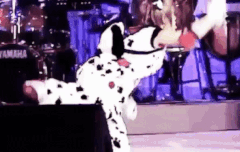 풍선직캠 다들 봤니ㅠㅠㅠ