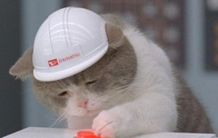 이 사진 어제ㅣ 엔터에서 엔시티 찬10 그 글에서인가 주웠는데 보면 볼수록 귀여움