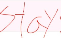 스테이 왔어요!