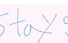 스테이 왔어용~