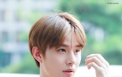 몰라 나 걍 젱여할래