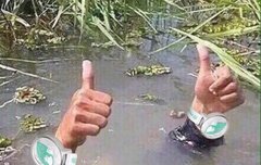 근데 어제 버블 개많이옴