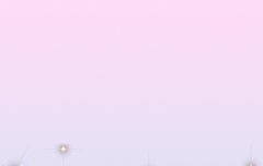 후 반 정도 올렸다