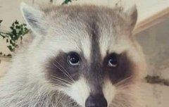 ㅅㄷ) 인생 힘들다