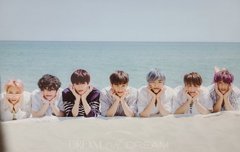 미쳤네 개이쁘다