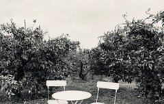 사진도 잘 찍어