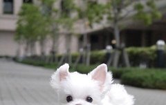 이거 우리 졍우님