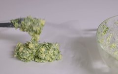 ㅅㄷ 아 햄튜브 개웃기네