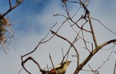 딱다구리 도촬. 딱스패치 기자입니다