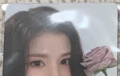 제발제발제발 이거 무슨 포카야 제발 이름