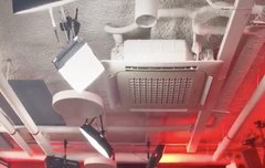 와 꼬리 챌린지 봤음?