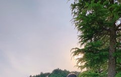 와 영화 아니냐