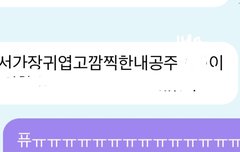 다들 버블 이름 뭐로 해놨어...?