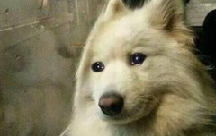 맠동 알파주의 아는 애들 있냐