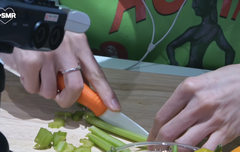 극극극사담 JASMR 과도 정보 아는 사람