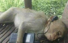 ...론준이가 잘했어..하는 톤이...