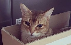 강다니엘 인스타업-오무룩