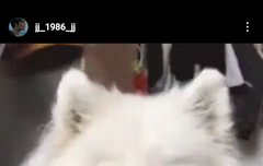 서방 인스타 질문