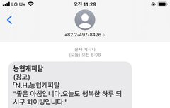 불법 피싱업체 농협캐피탈 신고