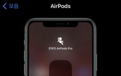 ㅇH플코리아 개발자 시즈니인가봐