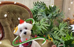 우리 념념님❤️❤️❤️