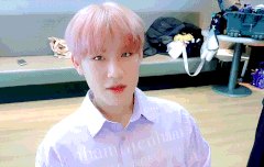 앞으로 엡식에 악개꼬이면 단체로 패주자