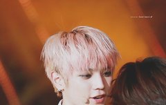 이 팬톡은 내가 먹는다 와앙