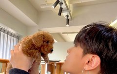 이 사진 어디서 떴는지 아는 코닉들 있어?