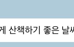 이제노 갱얼쥐라 산책 좋아하나봄