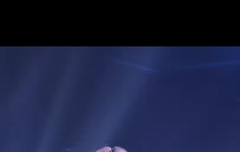 양양이 어느새 으른 됐는고 ㅠㅠㅠ