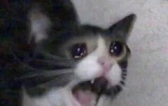 아니 내 오빠 헤어컷트 아직 안했어요