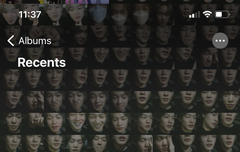 천프 현재 갤러리 상태