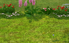 사담)puppies version