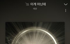 혹시 영배가 최애인 빂 있니...