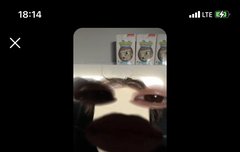 아니 툥잌ㅋㅋㅋㅋㅋㅋ 첫 인라