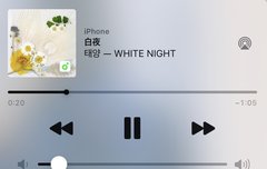 진짜 동영배 이노래