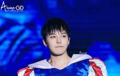 지디 사진 털게 1