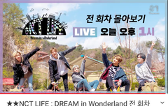 너튭에서 엔라 드림 원더랜드 한다!