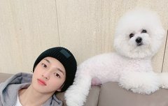 주인 닮은 강아지 갑인듯