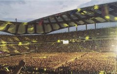 만약 콘서트 한다면 언제 할까?