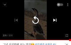 다정한 김재쥬웅...