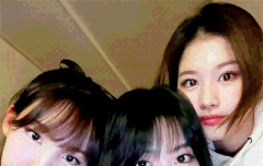 트와이스 배경화면 될만한 사진 공유해주라...