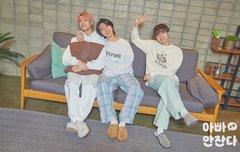 이런 사진 개좋다 멍멍