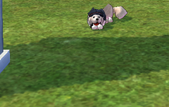 사담)puppies version